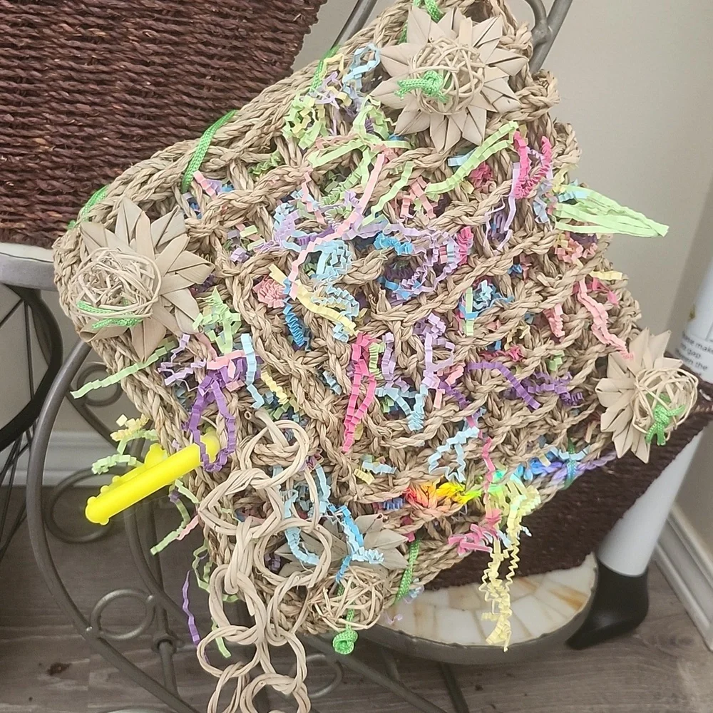 Awesome Parrot Toy
